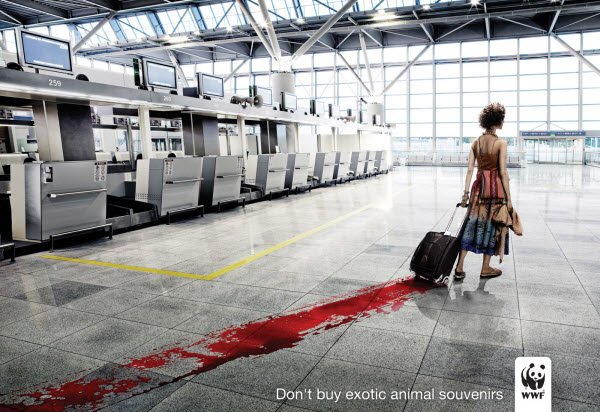 Don't Buy Exotic Animal Souvenirs